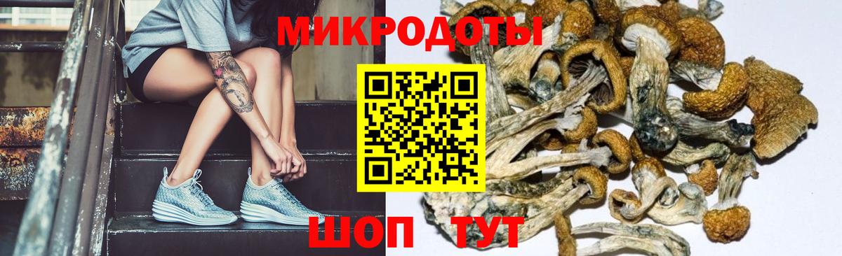 Галлюциногенные грибы GOLDEN TEACHER  Вход с VPN  Калач-на-Дону 